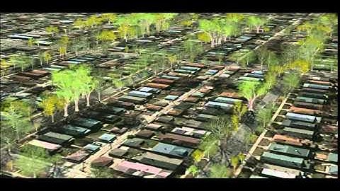 3D Mapping with Graf Tree Care