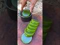 Survival Skills_ Mom Shows How to Make 100 Good Soap and Water #camping #outdoors #survival