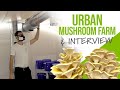 Meet these urban mushroom growers  grocycle