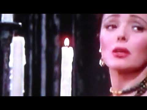 Bar Scene Man Behind The Gun