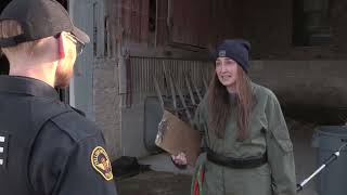 Breaking News Yspd Investigates Missing Reindeer At The Riding Centre 12-3-2025