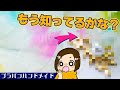 覚えてる？プラバンを使ってカラフルな羽を作ったら、〇〇が出来る！！