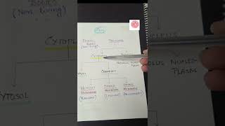 Cell Decoded Part 01 #Class9Biology  #Class11Biology #NEETBiology #CBSEBiology #cell #CellParts