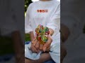 New Toy Delivery Toys Children Toysforkids New Toy Delivery Toys Children Toysforkids