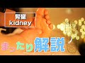 夜の癒しにまったりと「足つぼ解説」/なつさん/池袋シュエット