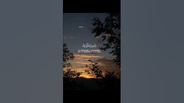 ﴿ وَاصْبِرْ لِحُكْمِ رَبِّكَ فَإِنَّكَ بِأَعْيُنِنَا ﴾ سورة الطور || القارئ وديع اليمني