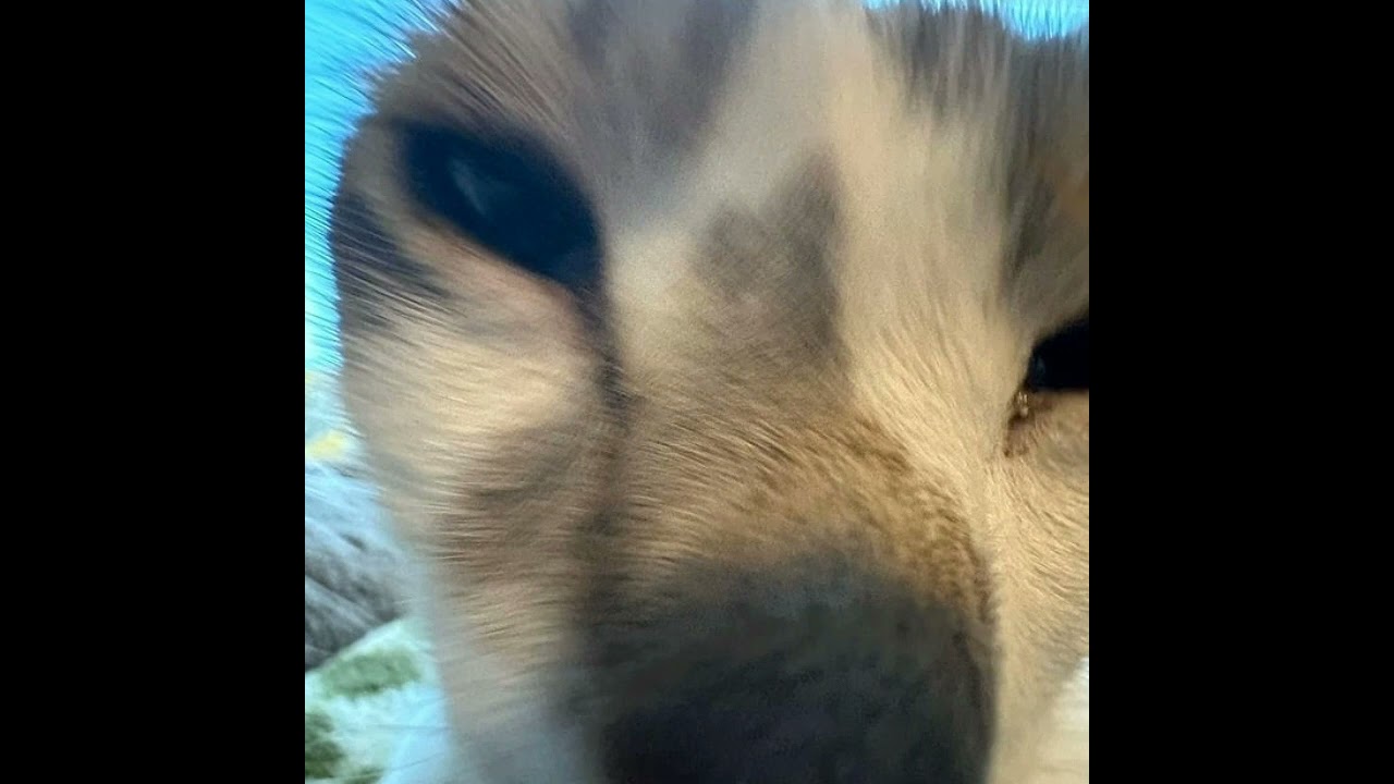 big rush - tornado (prod. by xizoh)