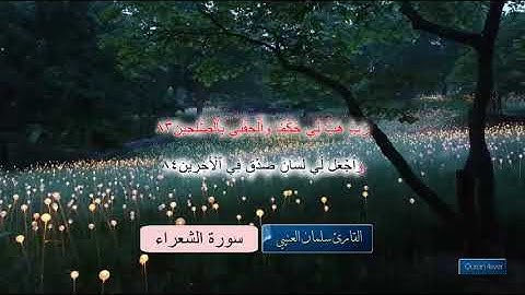 سورة الشعراء القارئ سلمان العتيبي