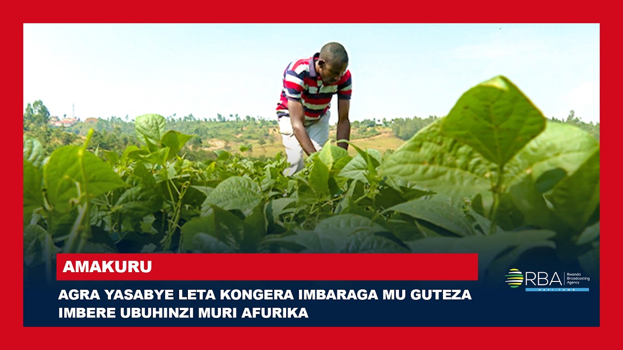 AGRA yasabye Leta kongera imbaraga mu guteza imbere ubuhinzi muri ...