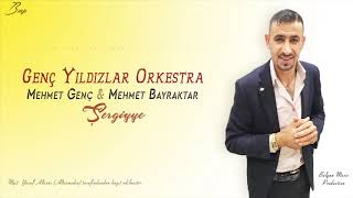 Mehmet genç 🎶ŞERGİYE🎶