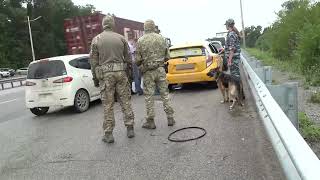 Итоги операции «Нелегальный мигрант» подвела полиция в Приморье.
