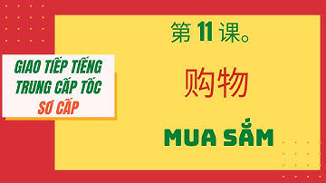 第 11 课。购物 _ BÀI 11. MUA SẮM _ Giao tiếp tiếng Trung cấp tốc_SƠ CẤP. #11