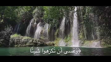 تلاوة مؤثرة للقارئ فارس عباد راحة نفسية ومواساة لقلبك حين تحزن (وعسى أن تكرهوا شيئا وهو خير لكم)