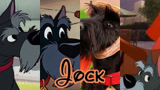 Jock Lady And The Tramp Evolution In Movies Tv 1955 - 2023