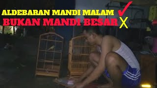 Manfaat kenari paud mandi malam!!simak jika ingin tahu resepnya