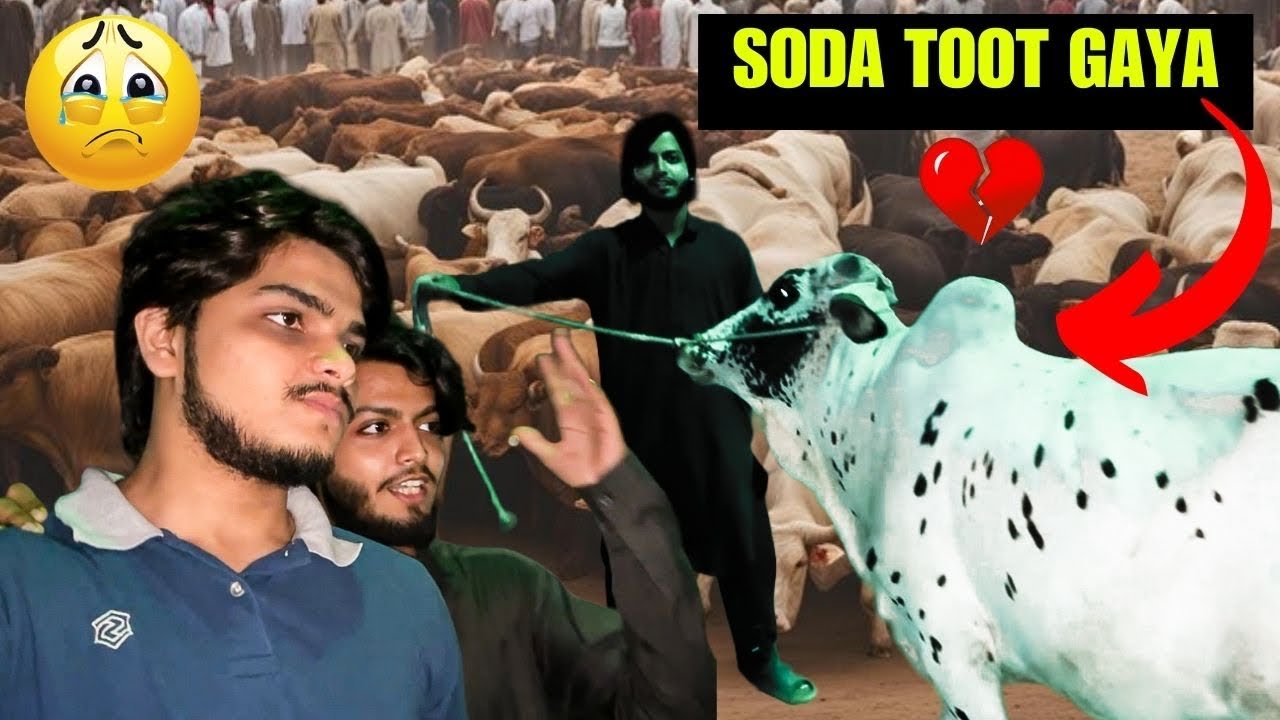 175k Ka Soda 20 000 Ki Wagah Say Toot Gaya Johar Ansari Official 175k-ka-soda-20-000-ki-wagah-say-toot-gaya-johar-ansari-official