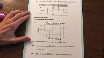 Tally Charts and Bar Graphs