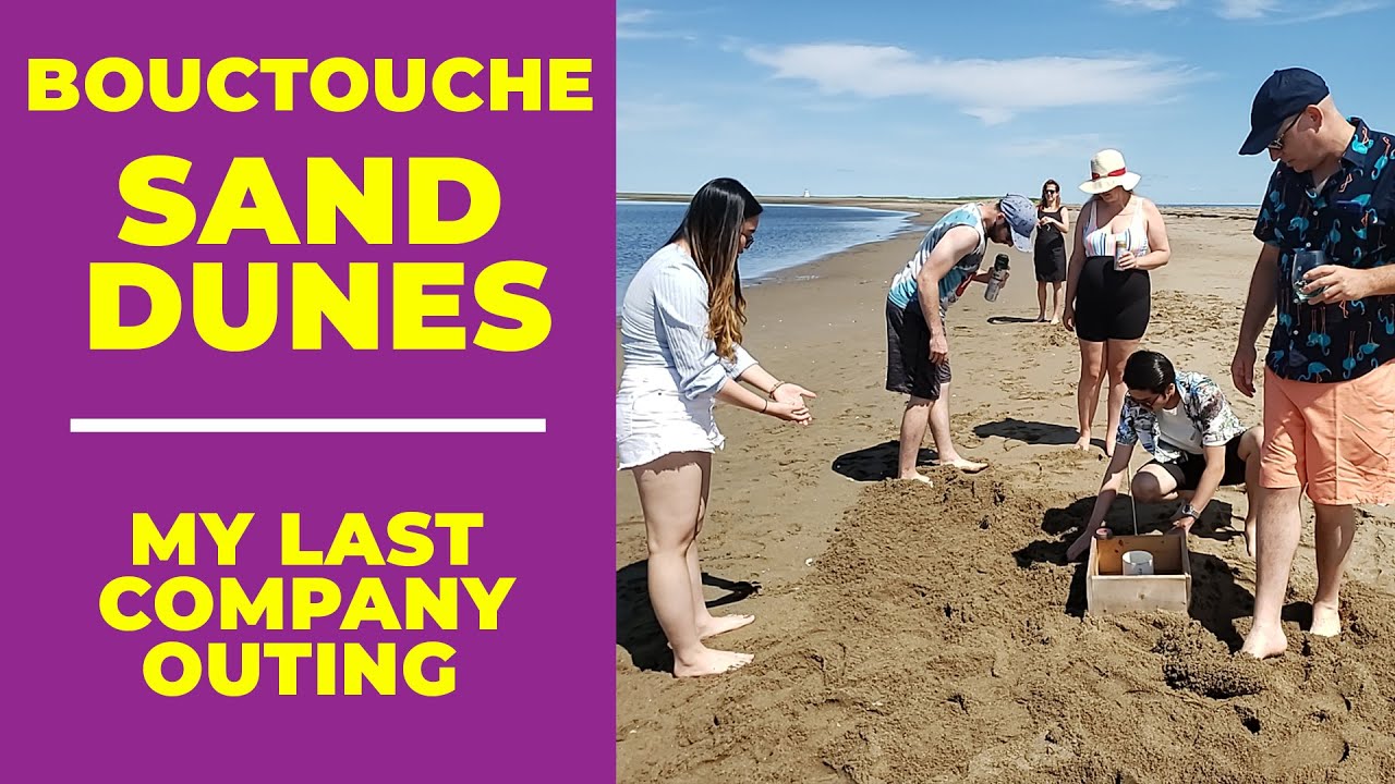 Bouctouche Sand Dunes My Last Company Outing YouTube