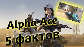 5 ФАКТОВ Alpha Ace КОТОРЫЕ ТЫ НЕ ЗНАЛ / Alpha Ace ФАКТЫ