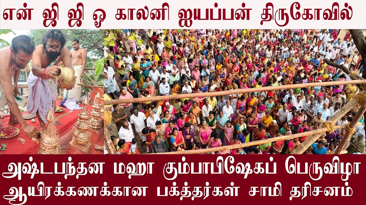 NGGO காலனி ஸ்ரீ ஐயப்பன் திருகோவில் அஷ்டபந்தன மஹா கும்பாபிஷேகப் பெருவிழா பக்த்தர்கள் சாமி தரிசனம்