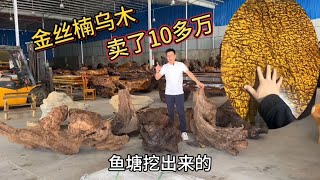 从鱼塘挖出几个金丝楠乌木，转手卖了10多万，大家看看值不值