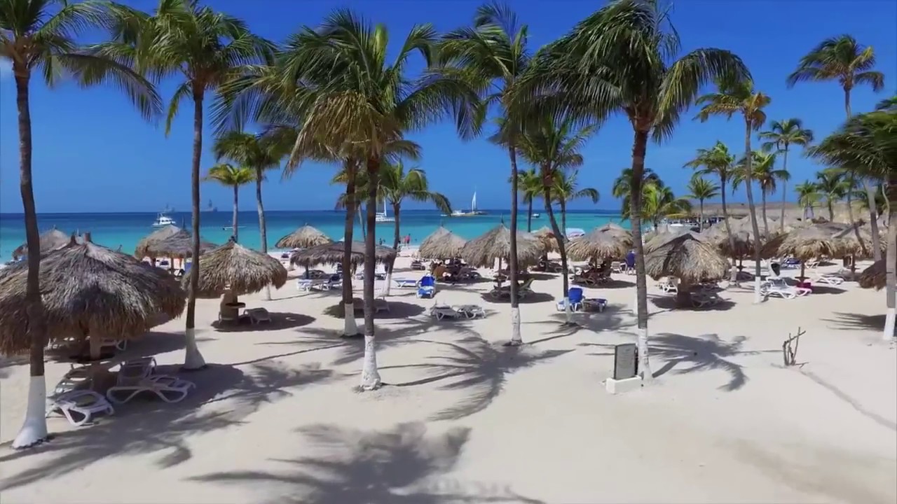 Riu Palace Aruba Hotel Palm Beach, Aruba YouTube