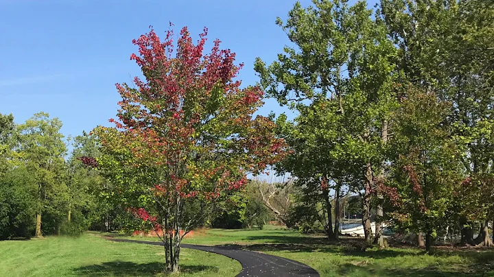 Elizabeth Park Greenway Improvement Project