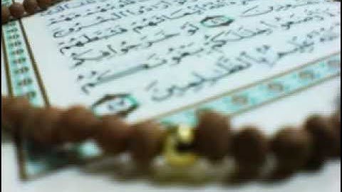 سورة يس  برواية البزي عن ابن كثير   محمد العبدالله