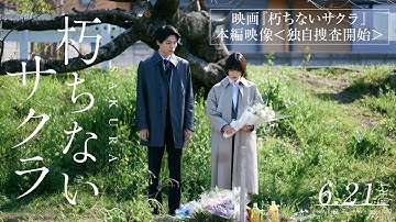 映画『朽ちないサクラ』本編映像〈独自捜査開始〉【6月21日公開】