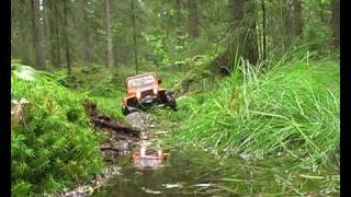 Jeep Wrangler at Misty Woods