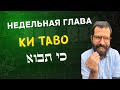 Недельная глава "Ки Таво" (כי תבוא)