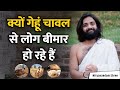 Side Effects of Rice &amp; Wheat | Nityanandam Shree | गेहूं चावल के नुकसान क्यों हैं ज्यादा