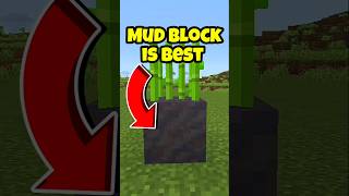 The Mud Secret Minecraft Doesn't Want You To Know! 🤫🌾