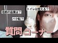 【質問コーナー】リスと一緒に視聴者さんからの質問に答える
