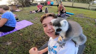 Chase Animal Rescue Sanctuary in Webster FL