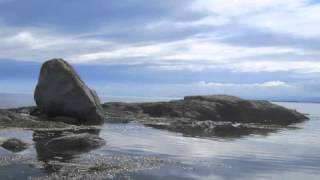 Carried Away (Geoffrey Dice and Peter Katz)
