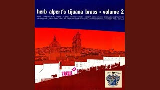 Swinger From Seville