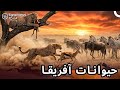 حیوانات وحشی آفریقا فراتر از بقا مستند فارسی 