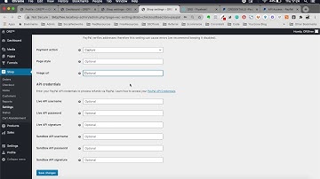 [Free Blueprint Included] How to setup Paypal Payment Gateway in Woocommerce + Wordpress [ORS]