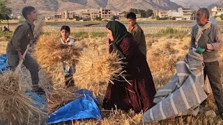 Helping Grandpa Harvest Wheat | Family Farming Life 🌾🚜