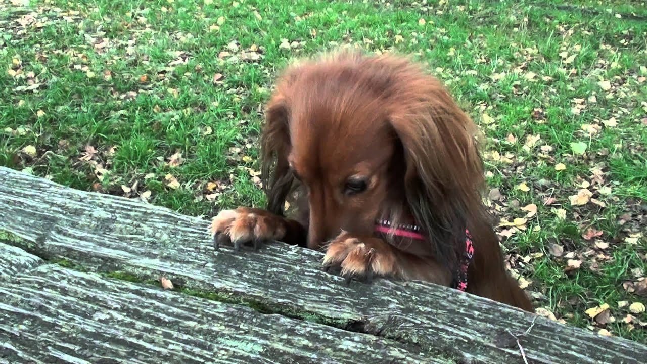 That smile though 😍😍 think he's happy with his run 😊💙, image size:1280x720