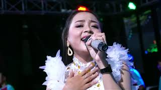Salsa sabila - berbeza kasta New Pallapa