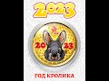 Коллекционная монета из серии Новый год 2023 / Год кролика