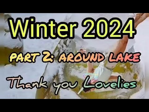 #lifestyle #winter2024 | walk around lake| part 2 #sweden
