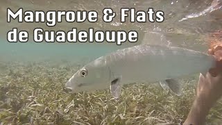 Voyage de pêche en Guadeloupe - Mangrove et Flats