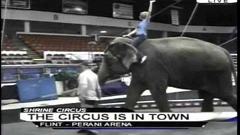 Elizabeth MacFarland joins the Shrine Circus for t...