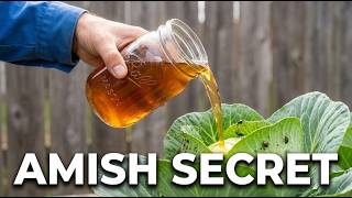 10 Amish Pest Control Tricks That Use ZERO Chemicals