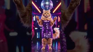 🎀 Pure Cuteness Cat Dancing Overload! 🐱💖#edit#youtube short #viral shot#tyedye