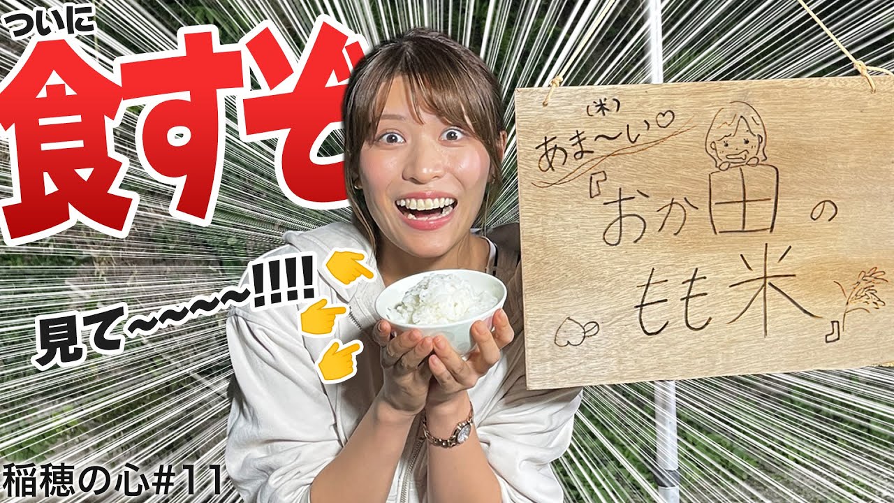 岡田桃佳の「稲穂の心#11」【シリーズ最終話】まさかのオチ。
