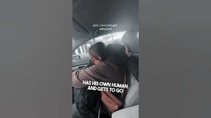 This dog’s reaction being adopted is awesome ❤️